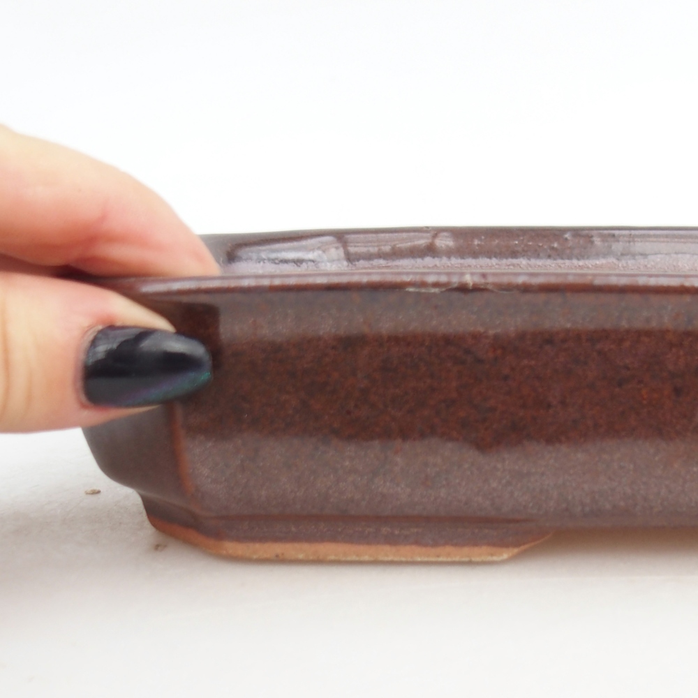 Bol à bonsaï en céramique 18,5 x 13,5 x 4,5 cm, brun