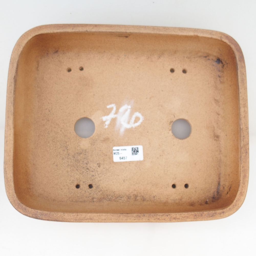 Bol à bonsaï 30 x 24 x 7 cm , couleur marron