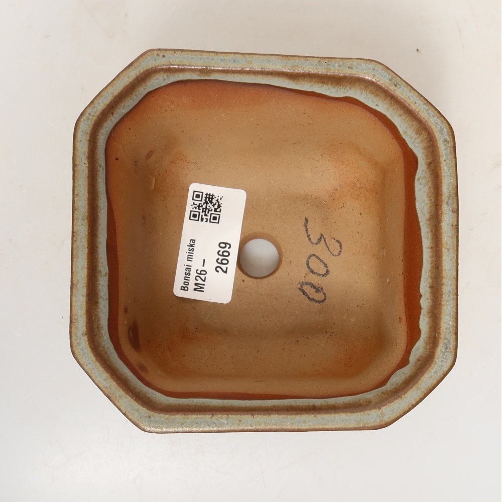 Coquille en céramique  11 x 11 x 6,5 cm, couleur beige