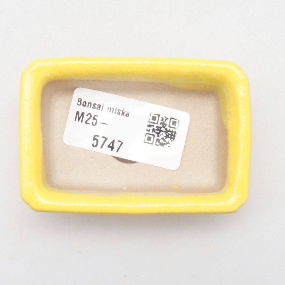 Bol à bonsaï en céramique 7 x 4,5 x 2 cm, jaune
