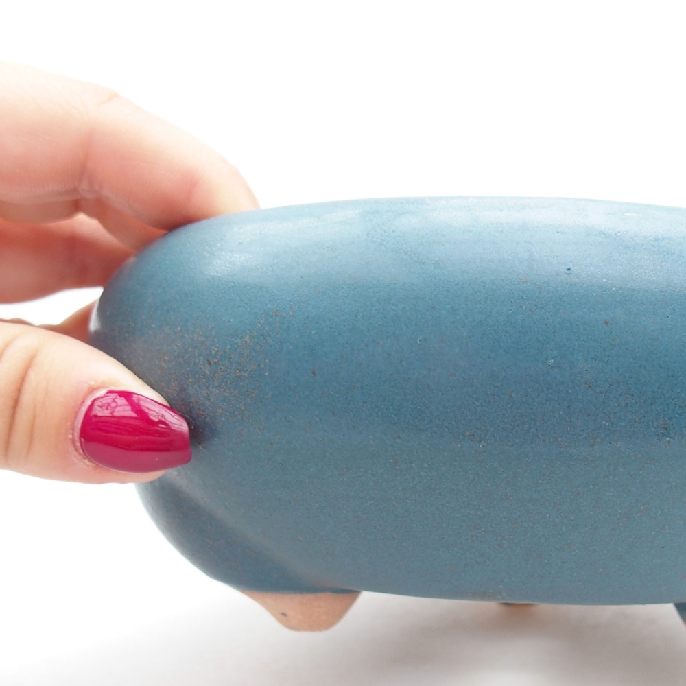 Bol à bonsaï en céramique 14 x 14 x 6,5 cm, couleur bleu