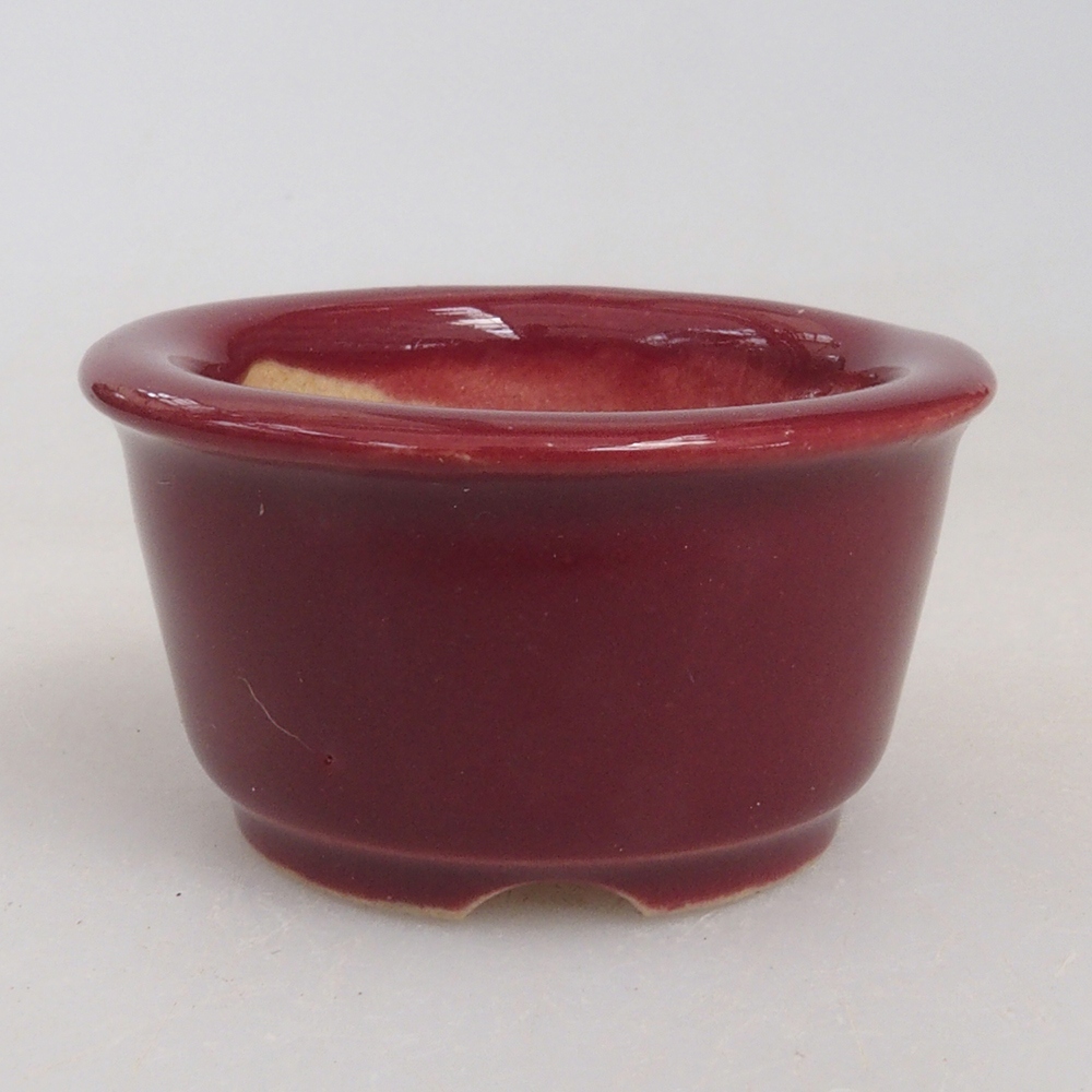 Mini bol bonsaï 4 x 4 x 2 cm, bordeaux
