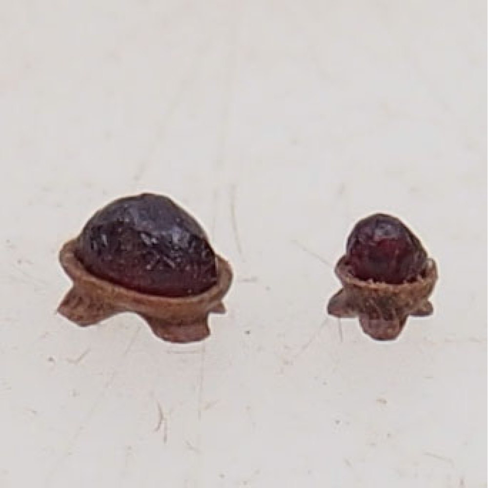 Suiseki - Pierre avec DAI (base en bois)