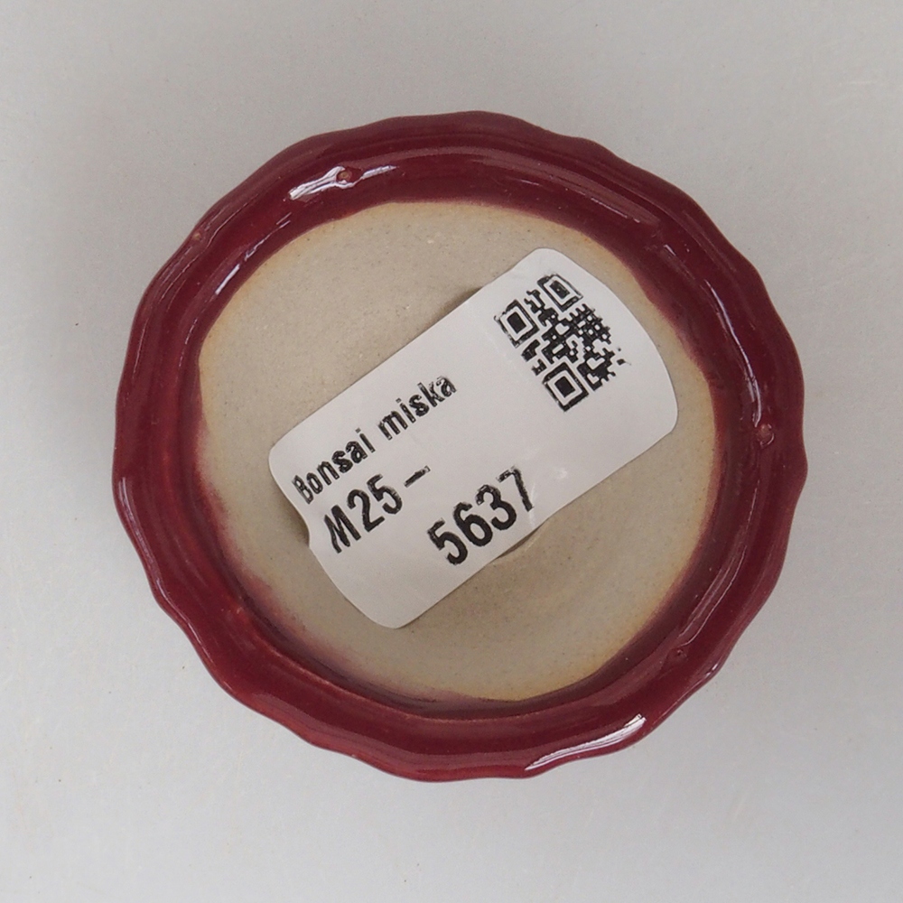 Mini bol bonsaï 5 x 5 x 2,5 cm, couleur bordeaux