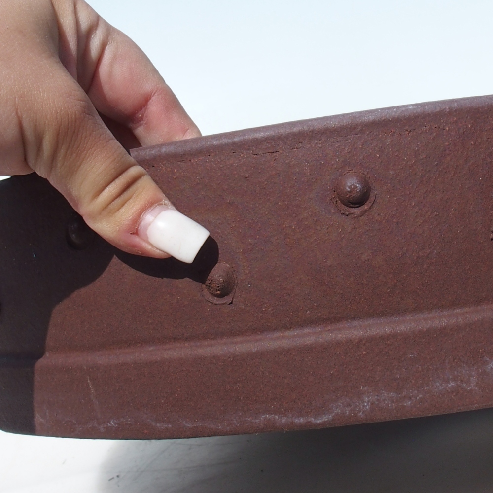 Bol pour bonsaï 37 x 37 x 8,5 cm bouleau brun