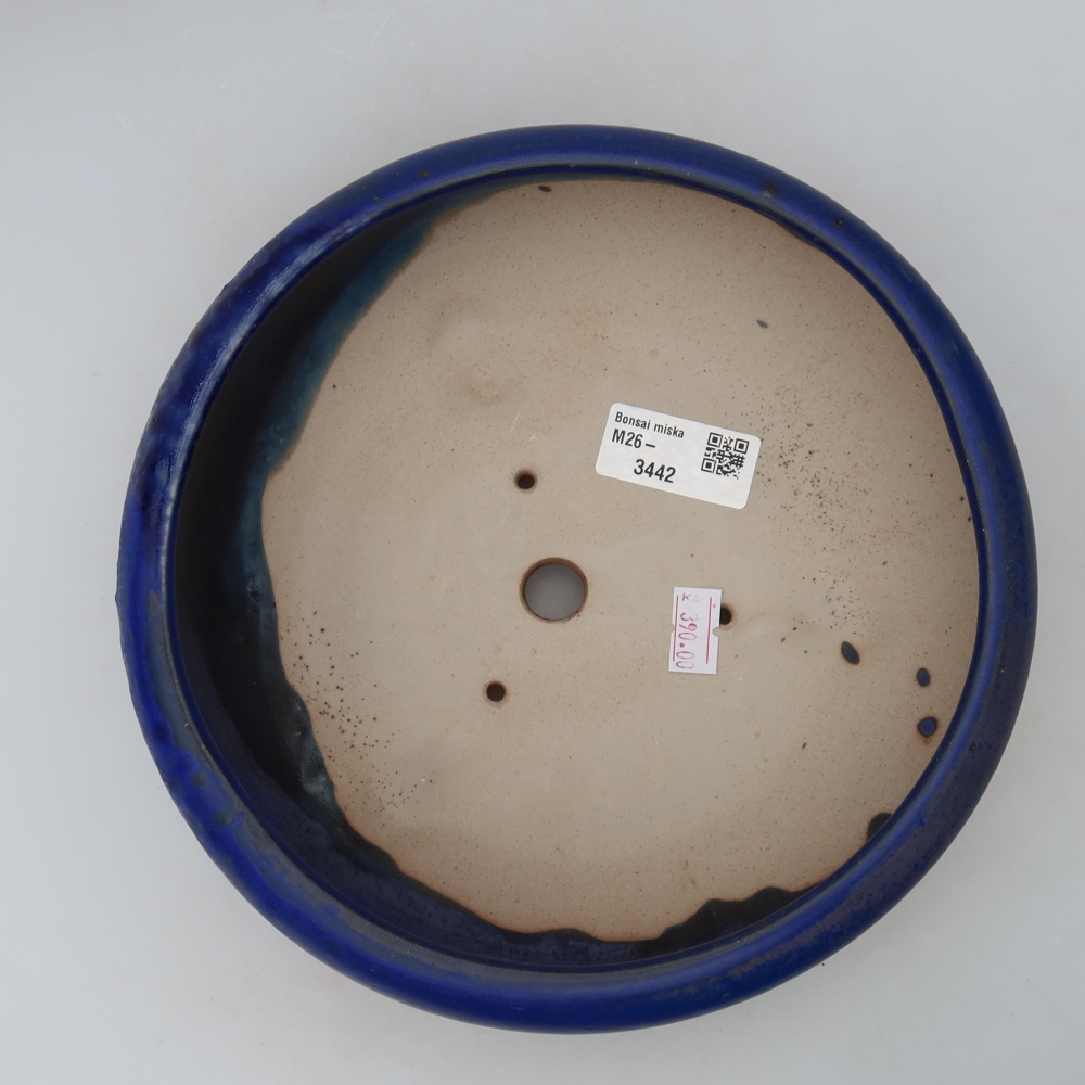 Pot à bonsaï en céramique 20 x 20 x 7,5 cm, couleur bleue