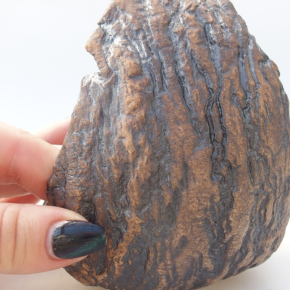 Coquille en céramique 9,5 x 9 x 12 cm , couleur marron