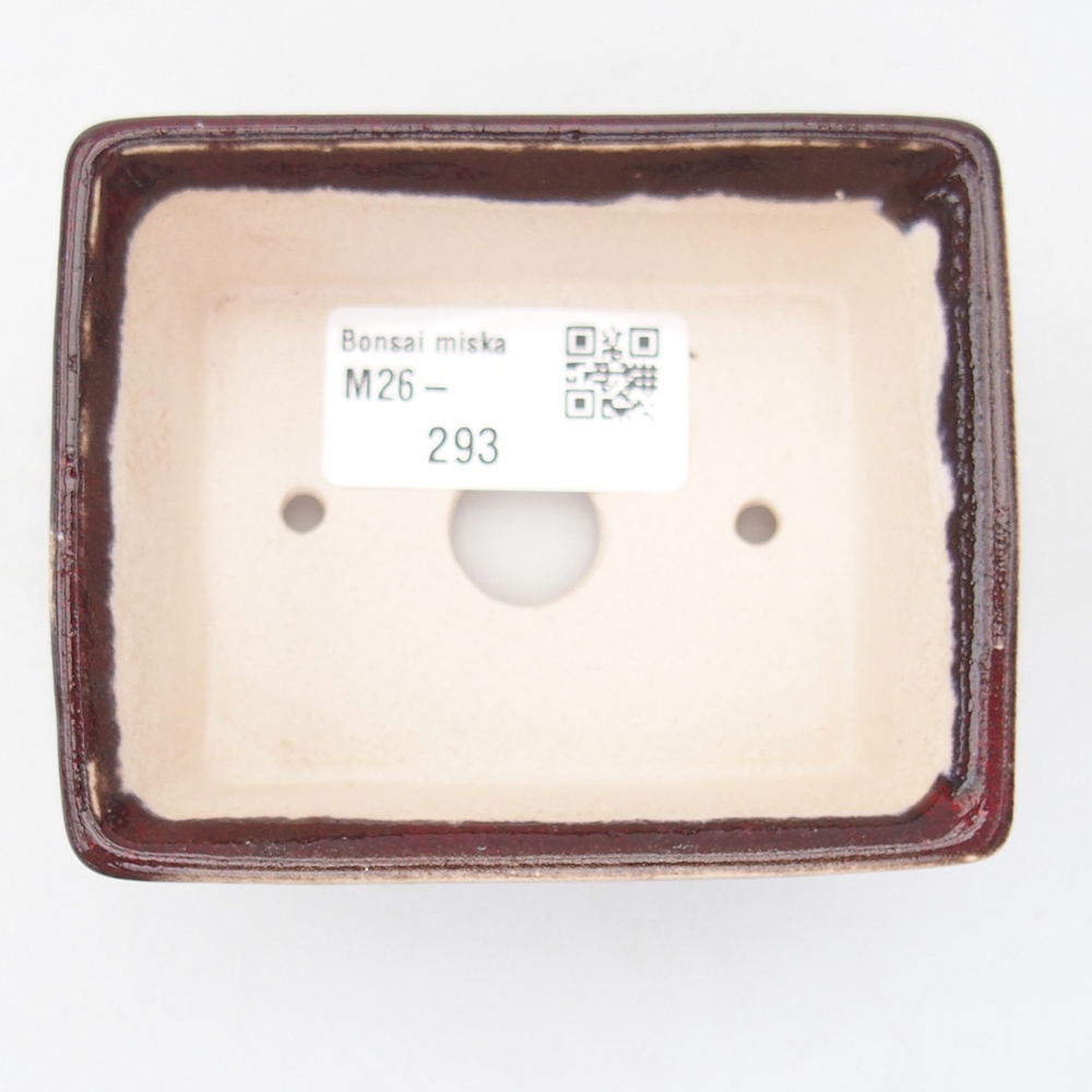 Mini bol bonsaï 9 x 7 x 3,5 cm, couleur rouge