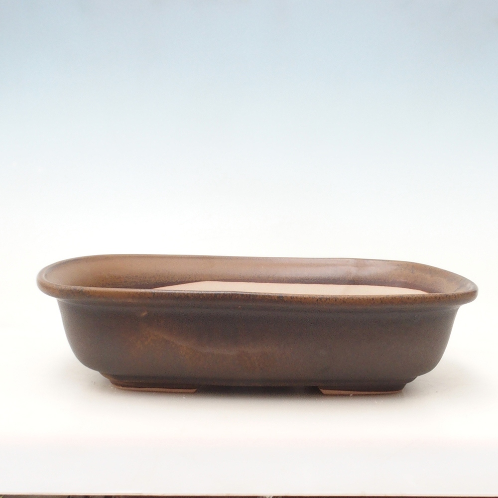 Bol à bonsaï H10 - 37 x 28 x 9 cm.