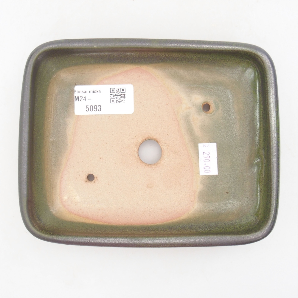 Bol à bonsaï en céramique 17 x 14 x 3,5 cm, vert