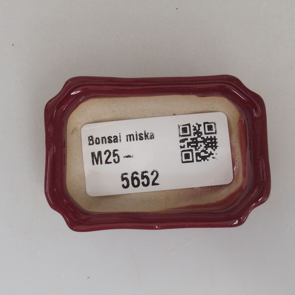 Mini bol bonsaï 5,5 x 3,5 x 1,5 cm, bordeaux