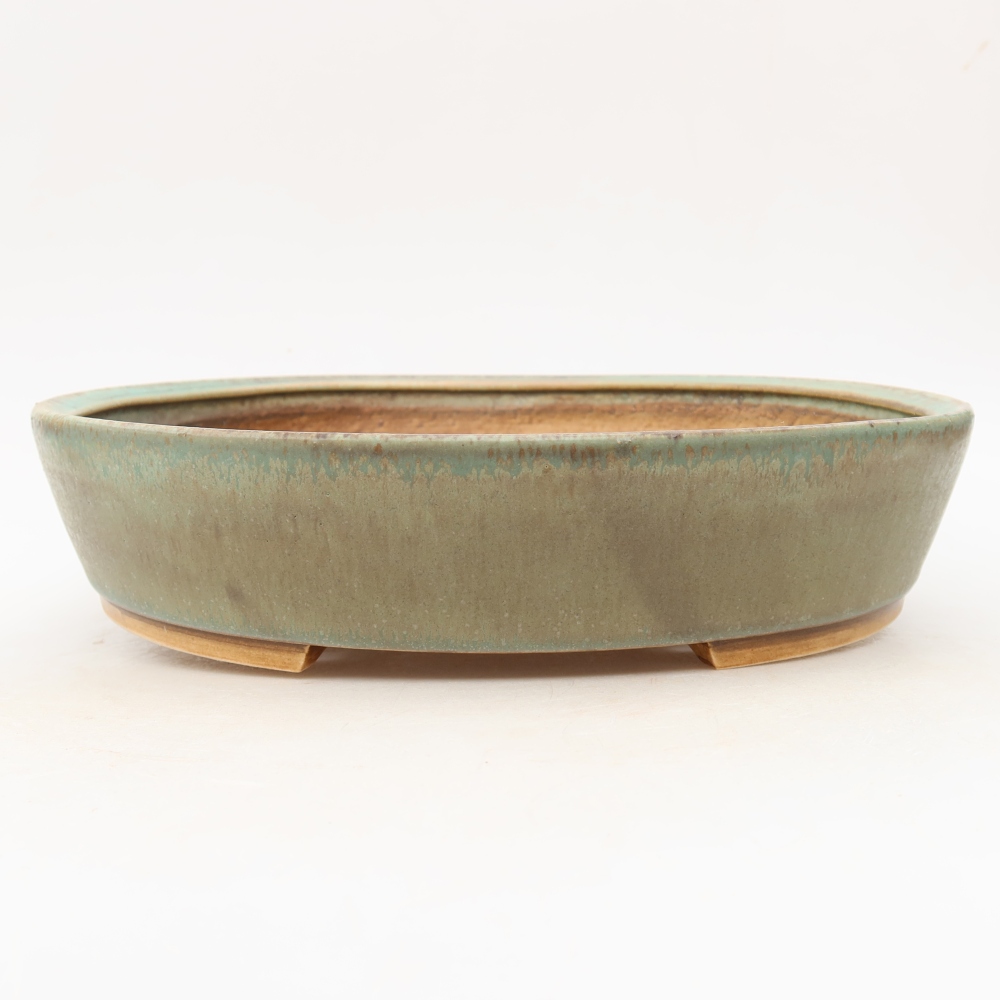 Pot à bonsaï en céramique 27 x 24 x 5,5 cm, couleur verte