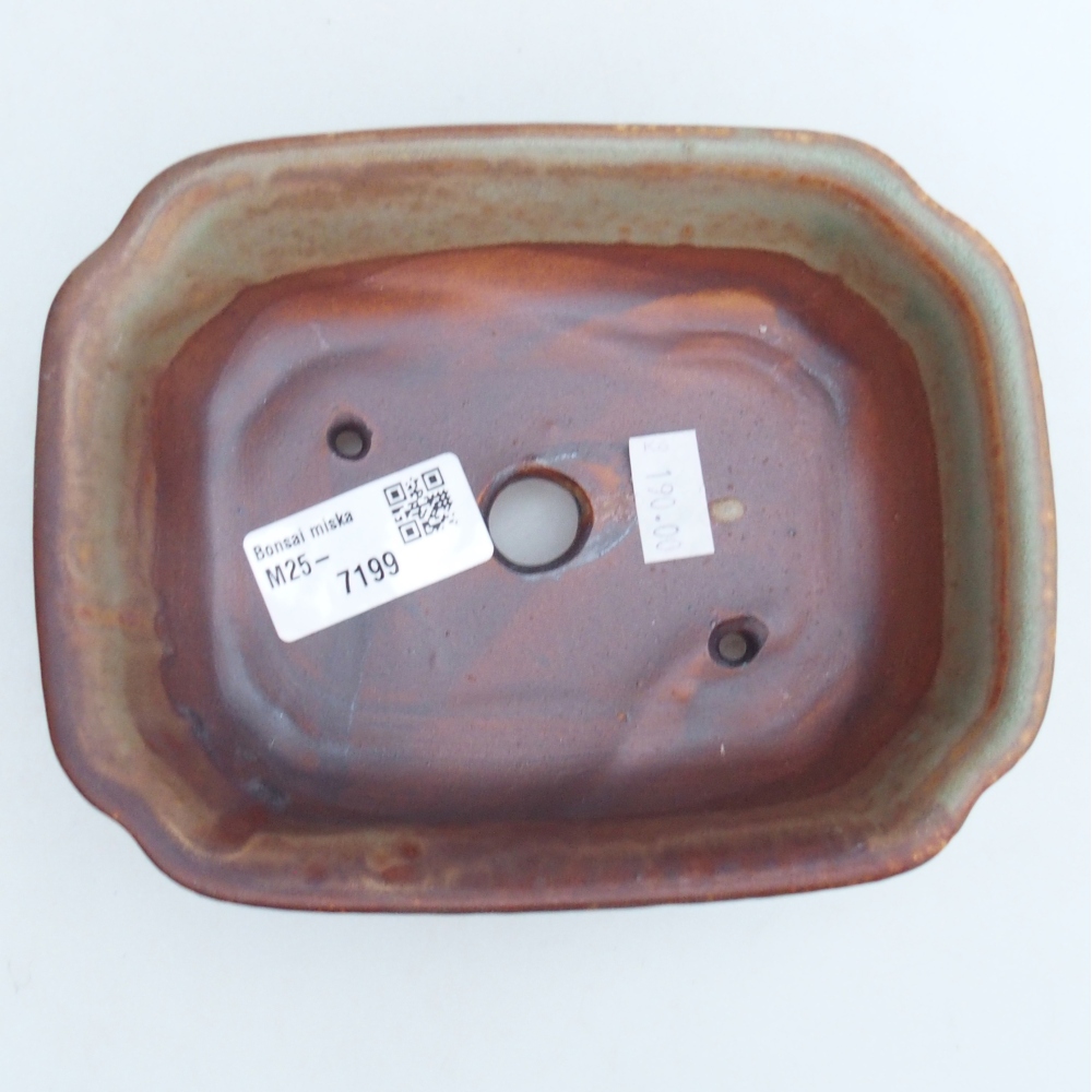 Bol à bonsaï en céramique 16 x 12 x 5 cm, vert