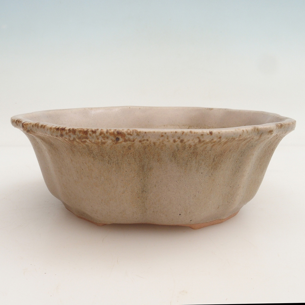 Coupe bonsaï H06 - 14,5 x 14,5 x 5 cm - beige
