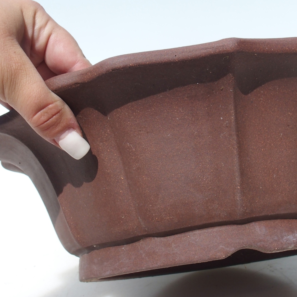 Bol pour bonsaï 30,5 x 30,5 x 10 cm - brun