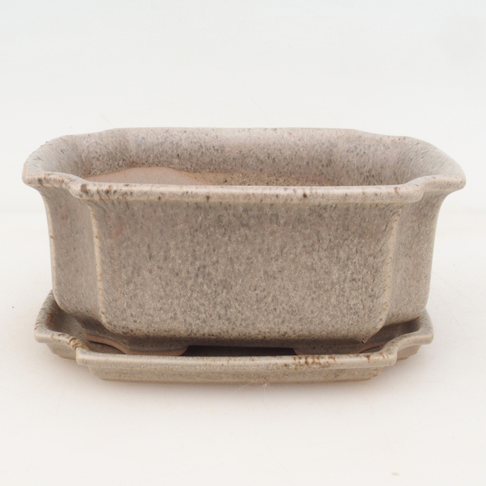 Bol bonsaï + soucoupe H01 - beige