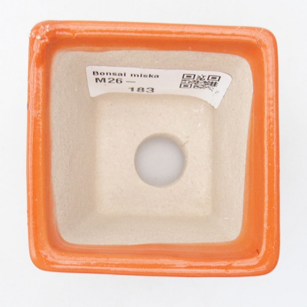 Mini bol bonsaï 6 x 6 x 5 cm, orange