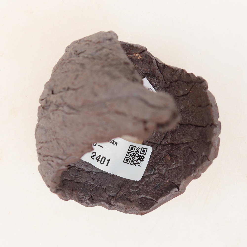 Coquille en céramique  7,5 x 8 x 13 cm, couleur marron