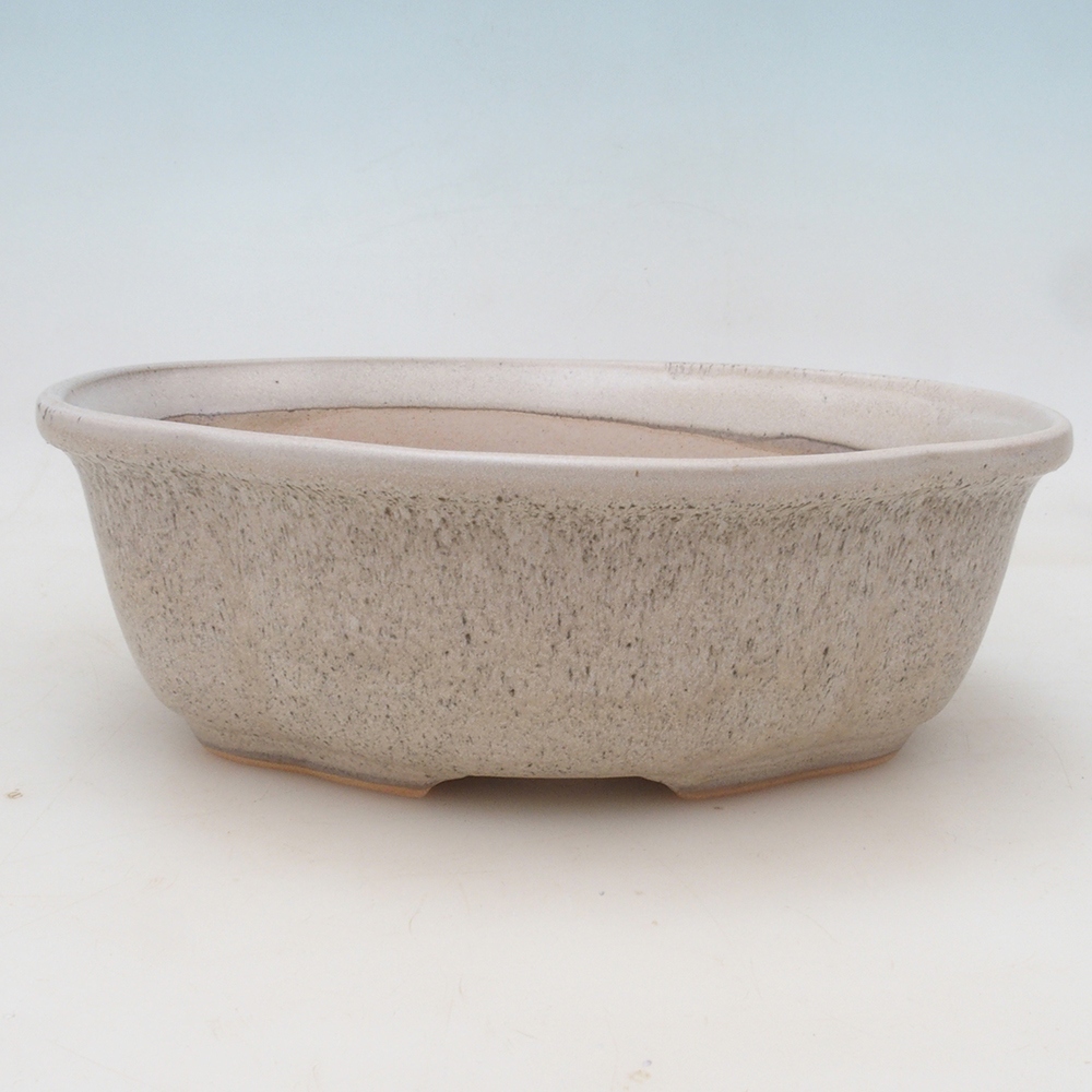 Coupe bonsaï H75 - 19 x 14 x 6,5 cm - beige