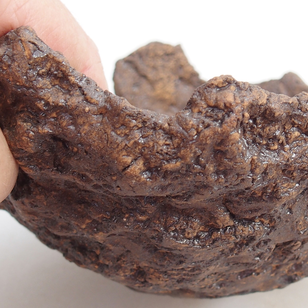 Coquille en céramique 18 x 17 x 10 cm , couleur marron