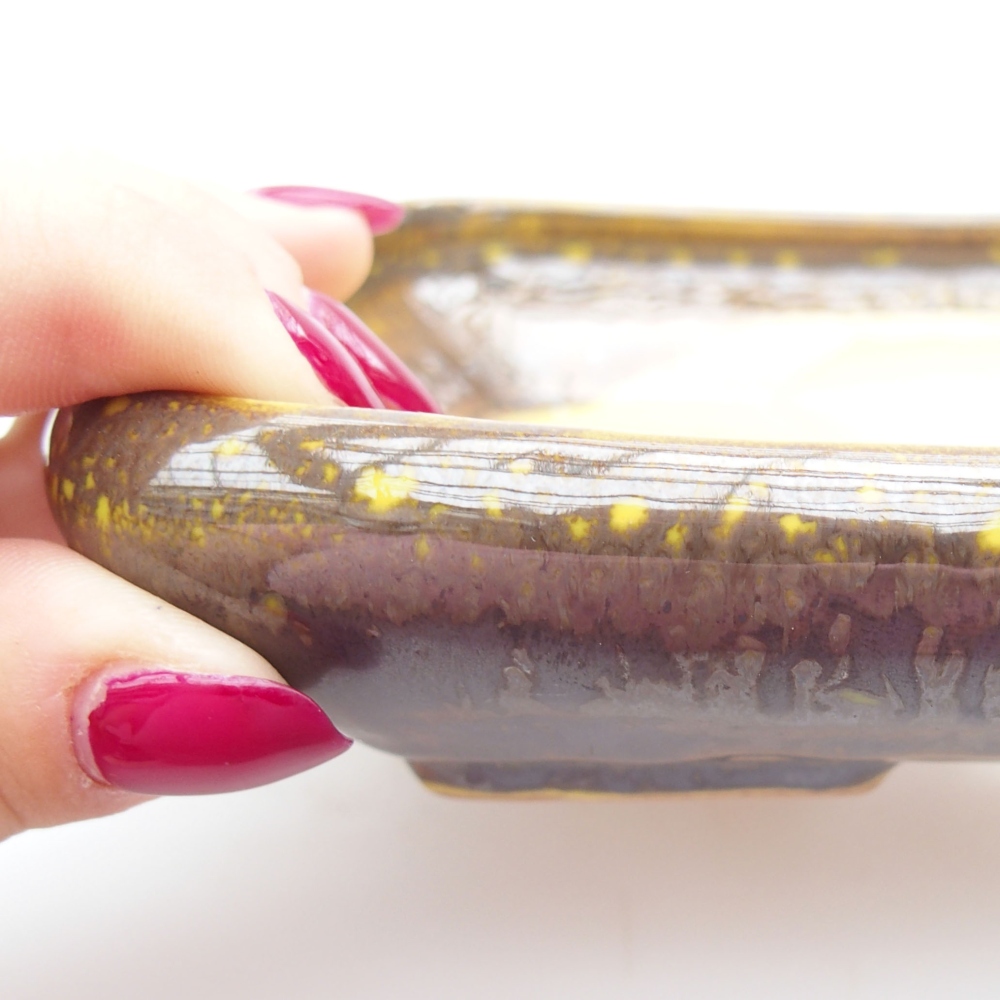 Bol à bonsaï en céramique 17 x 14 x 3,5 cm, jaune