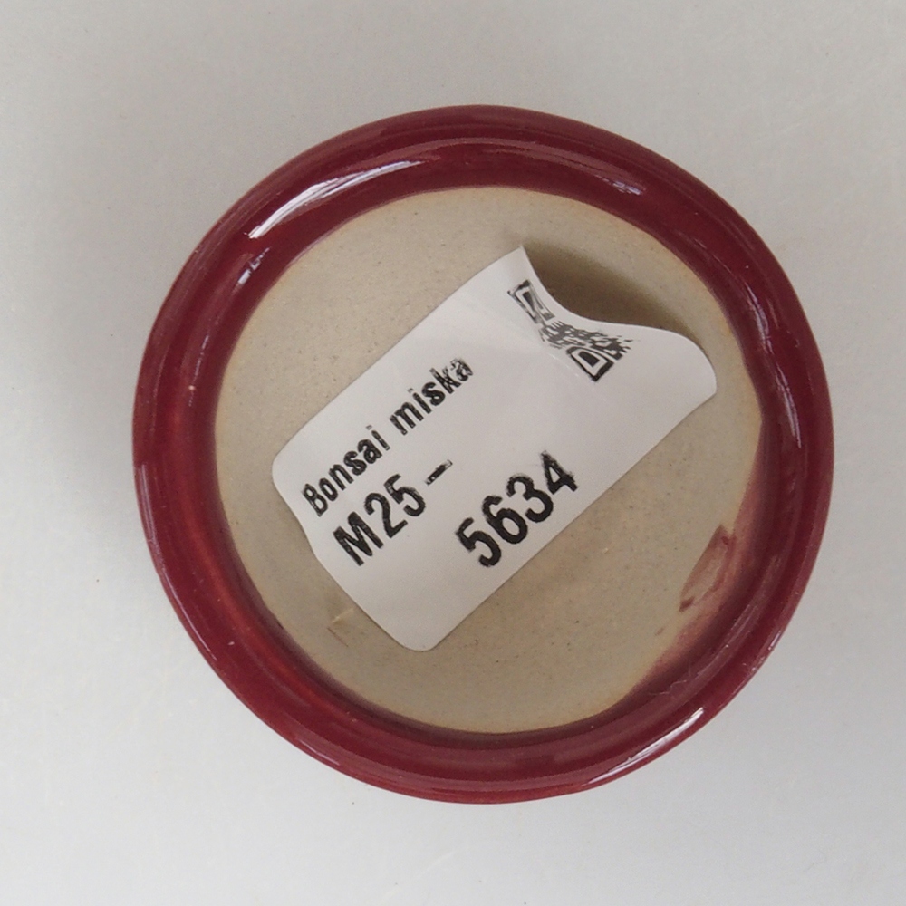 Mini bol bonsaï 4,5 x 4,5 x 2,5 cm, bordeaux