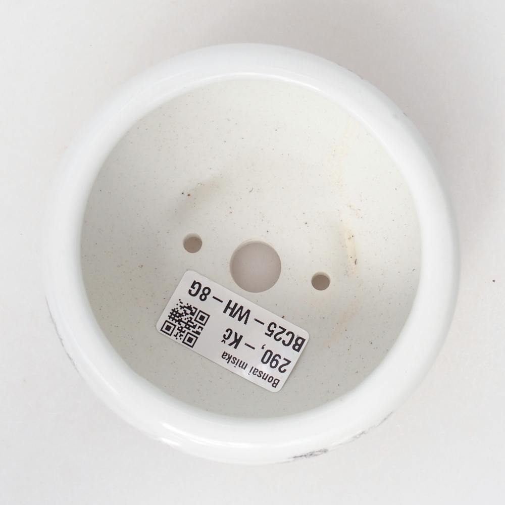 Bol à bonsaï en céramique 10 x 10 x 5 cm, couleur blanc