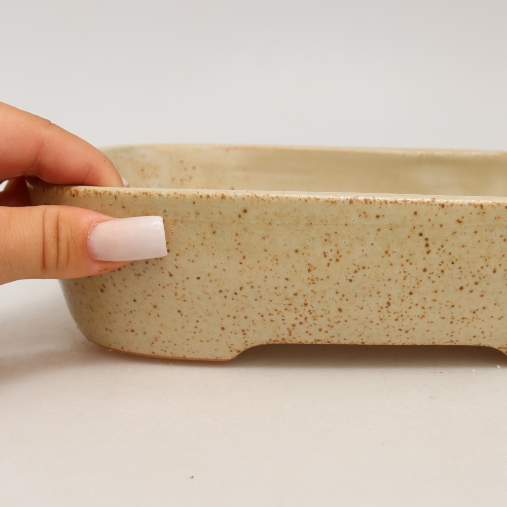 Pot à bonsaï en céramique 23 x 18 x 5,5 cm, couleur beige