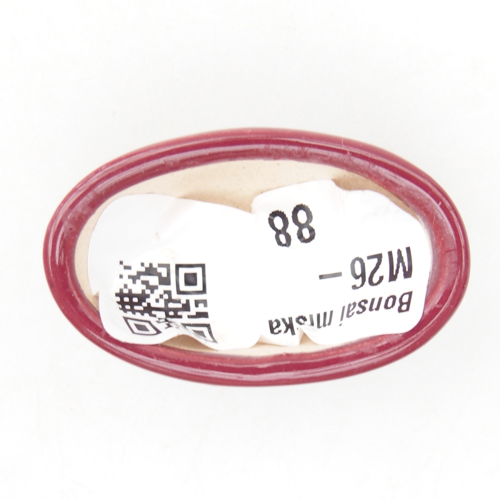 Mini bol bonsaï 4 x 2,5 x 2 cm, bordeaux