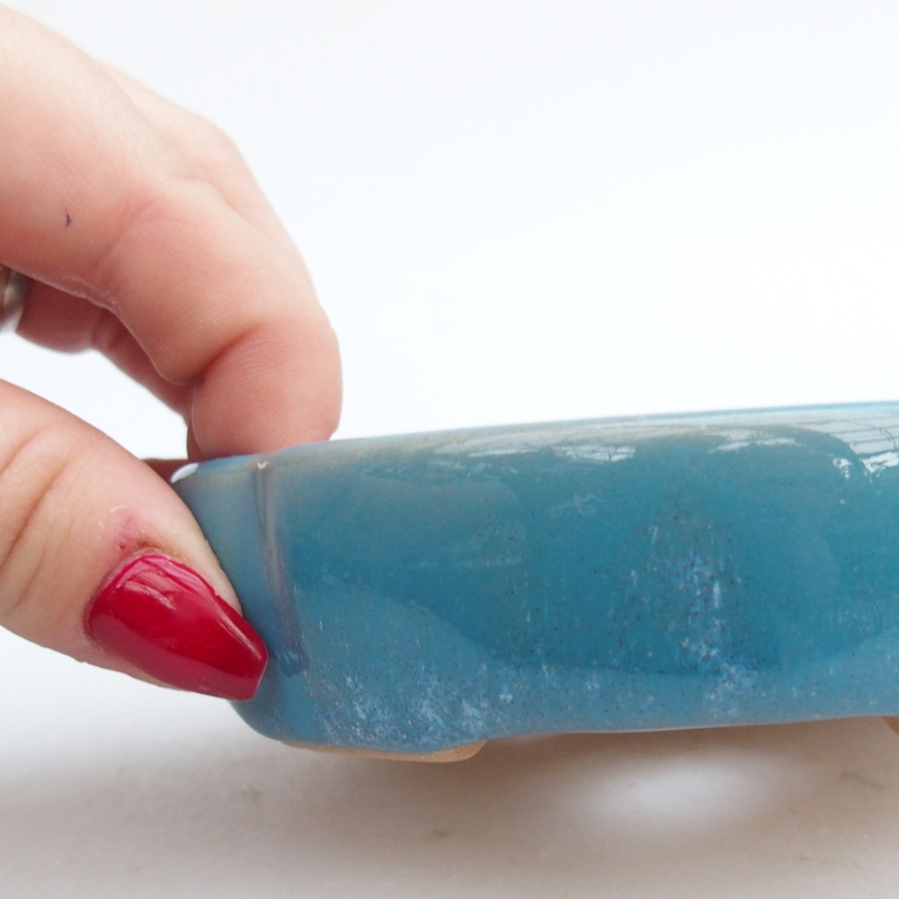 Bol à bonsaï en céramique 11 x 11 x 3 cm, couleur bleu