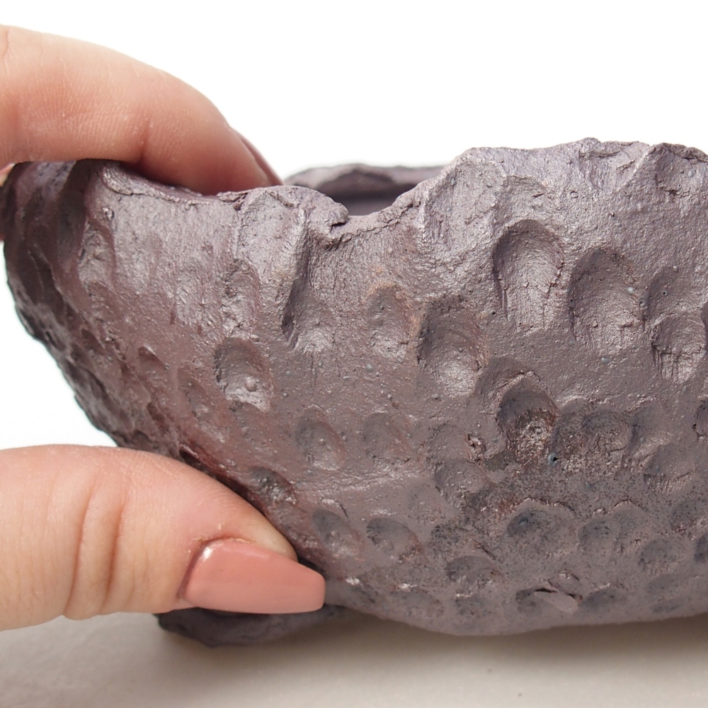 Bol à bonsaï en céramique 17 x 17 x 7,5 cm, couleur métal