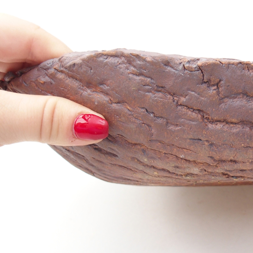 Coquille en céramique 31 x 21 x 7,5 cm , couleur marron