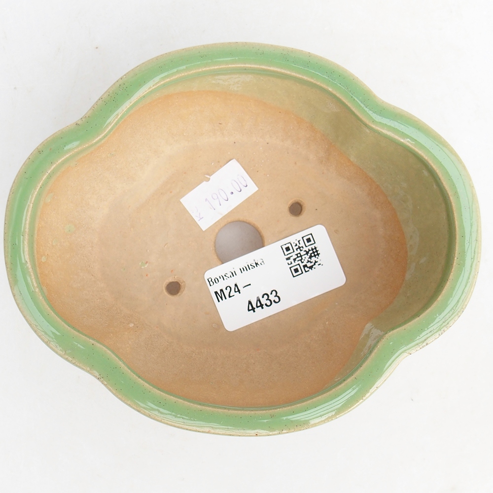 Bol à bonsaï en céramique 12,5 x 10,5 x 5 cm, vert