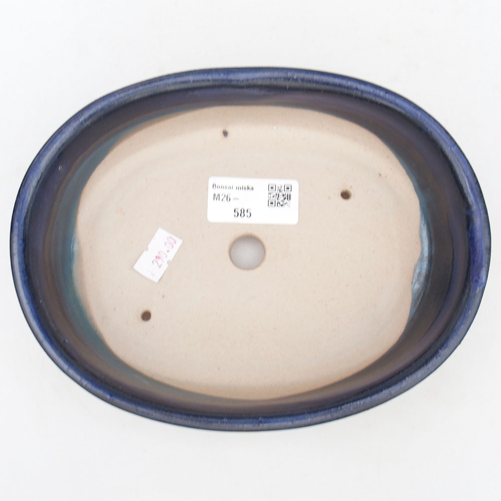 Bol à bonsaï en céramique 19 x 14 x 5 cm, couleur bleu