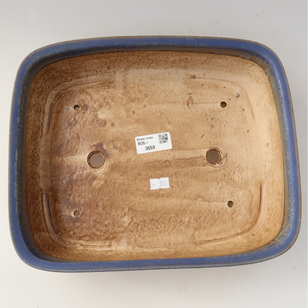 Bol à bonsaï en céramique 29,5 x 24,5 x 7,5 cm, couleur bleu