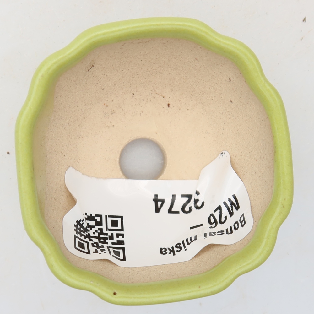 Bol à bonsaï en céramique 4,5 x 4,5 x 2,5 cm, vert