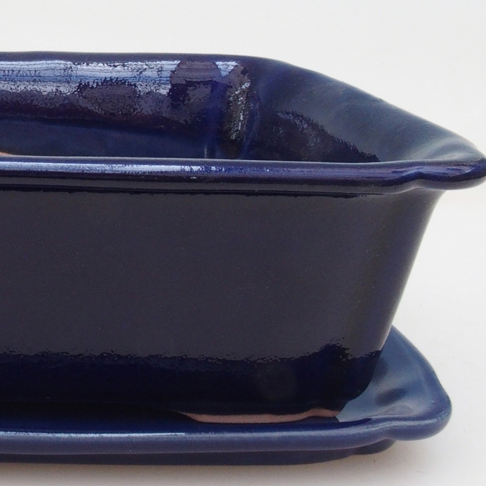 Bol Bonsaï + soucoupe H50 - bleu