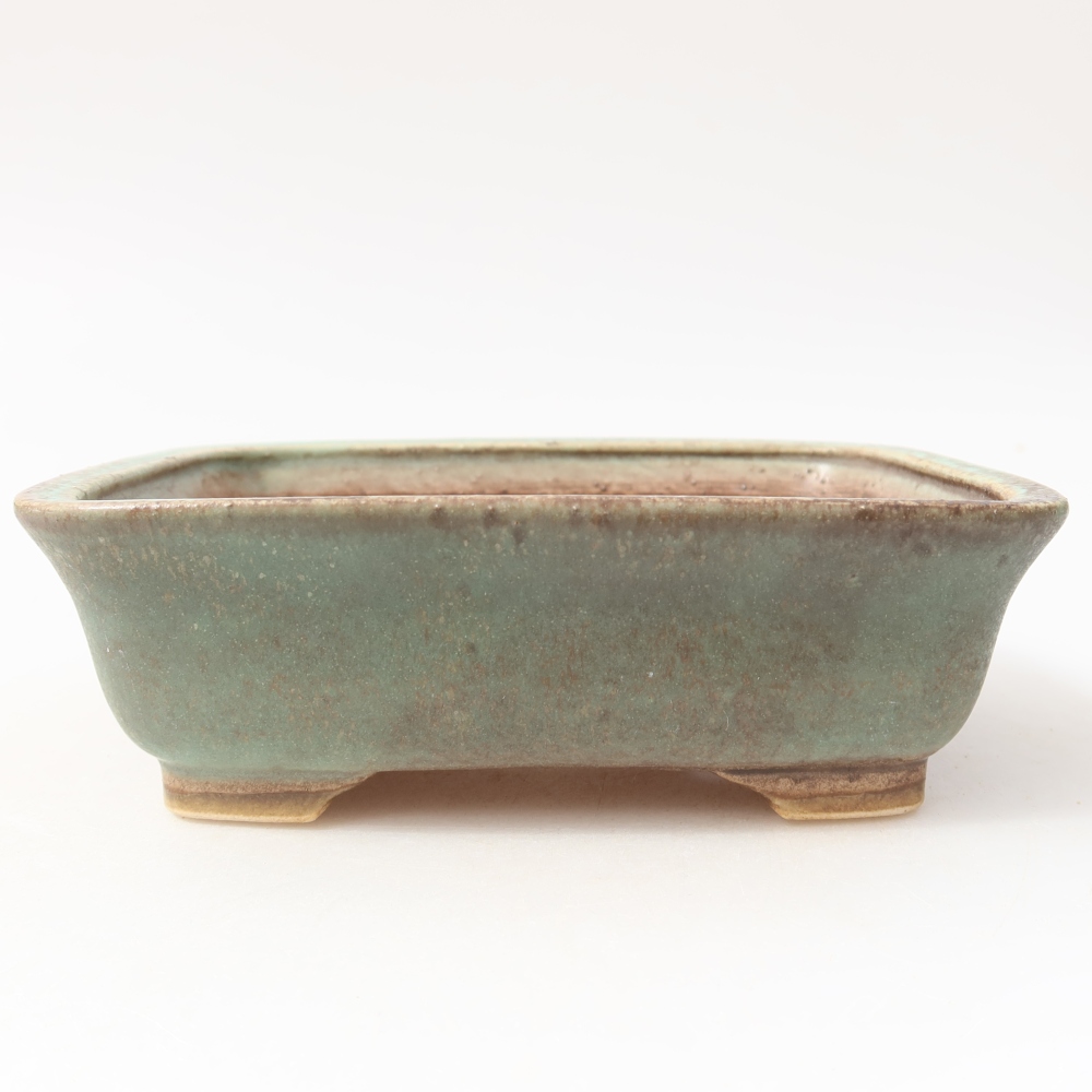 Pot à bonsaï en céramique 15 x 13 x 4,5 cm, couleur verte