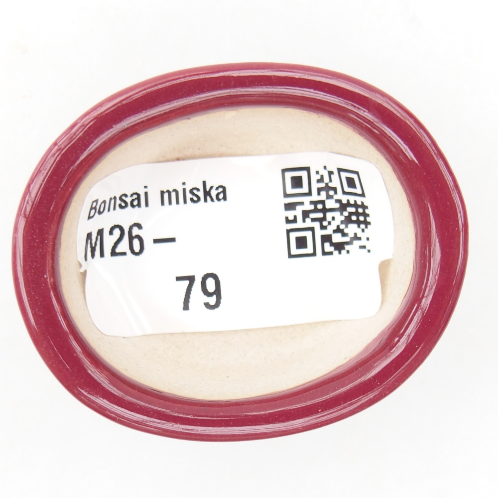 Mini bol bonsaï 4,5 x 4 x 2 cm, bordeaux
