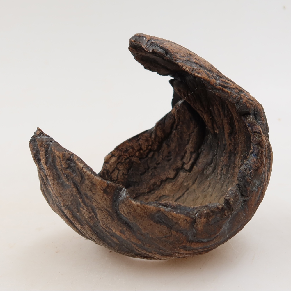 Coquille en céramique  10 x 10 x 11 cm, couleur marron
