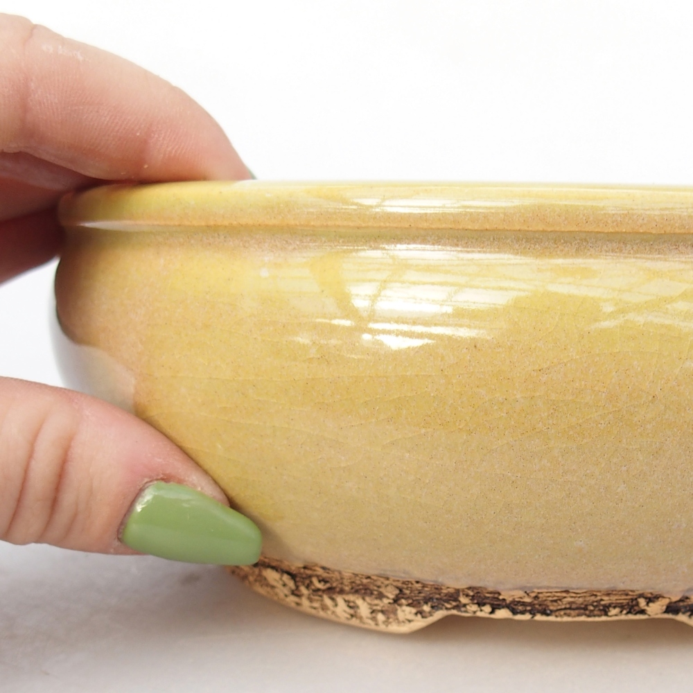 Bol à bonsaï en céramique 15,5 x 15,5 x 5,5 cm, jaune-vert