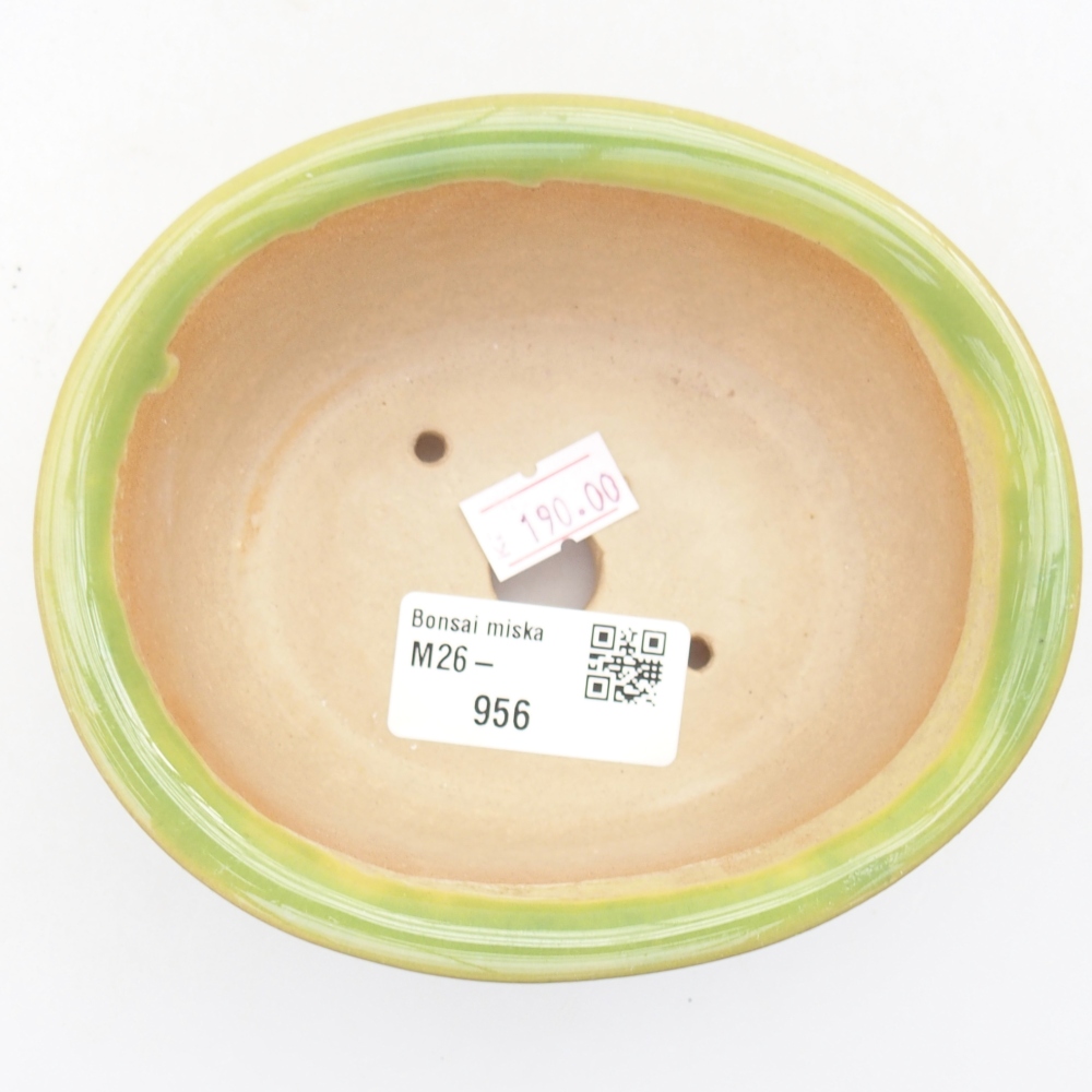 Bol à bonsaï en céramique 12 x 10 x 5,5 cm, vert