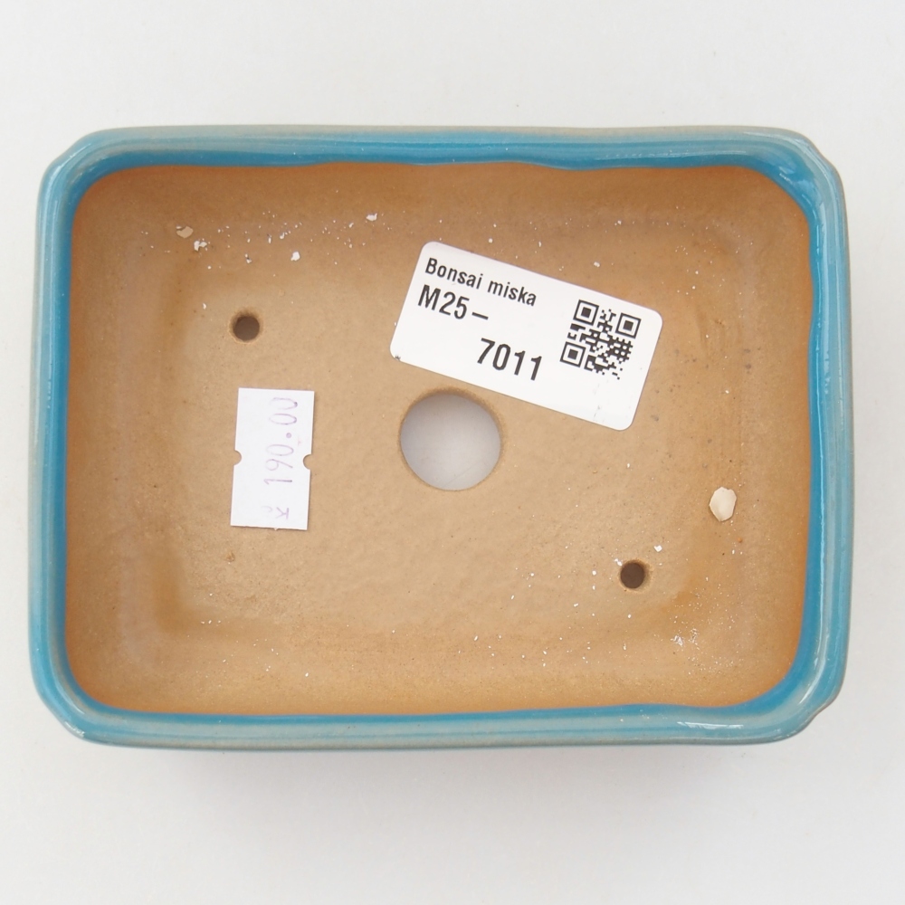 Bol à bonsaï en céramique 11,5 x 9 x 3,5 cm, couleur bleu