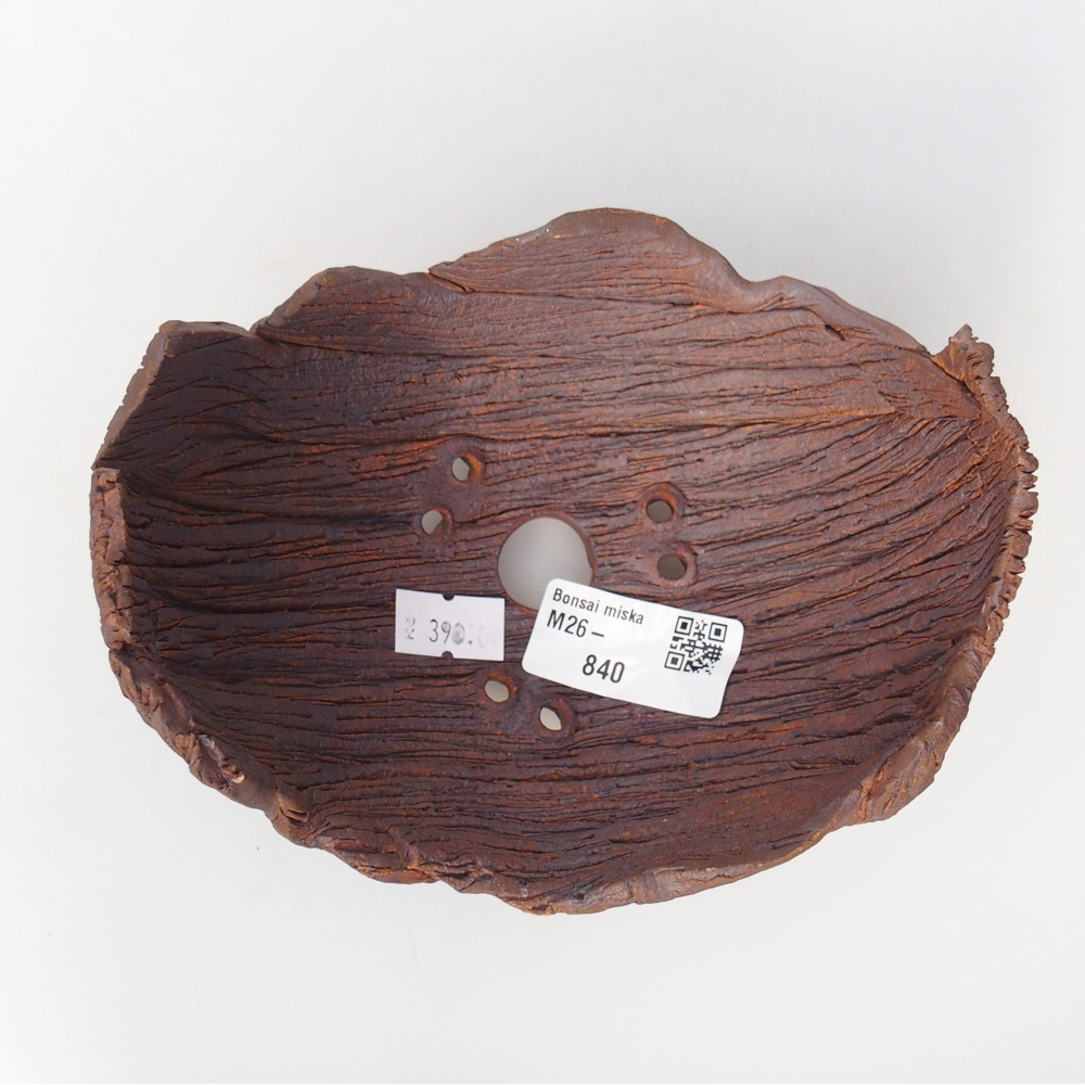 Coquille en céramique 14 x 12 x 9,5 cm , couleur marron