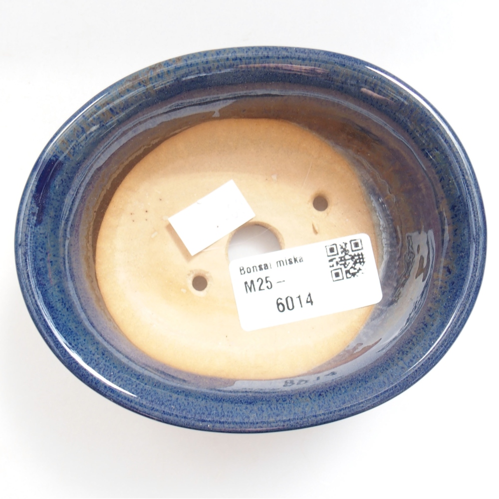 Bol à bonsaï en céramique 22 x 17 x 5 cm, vert