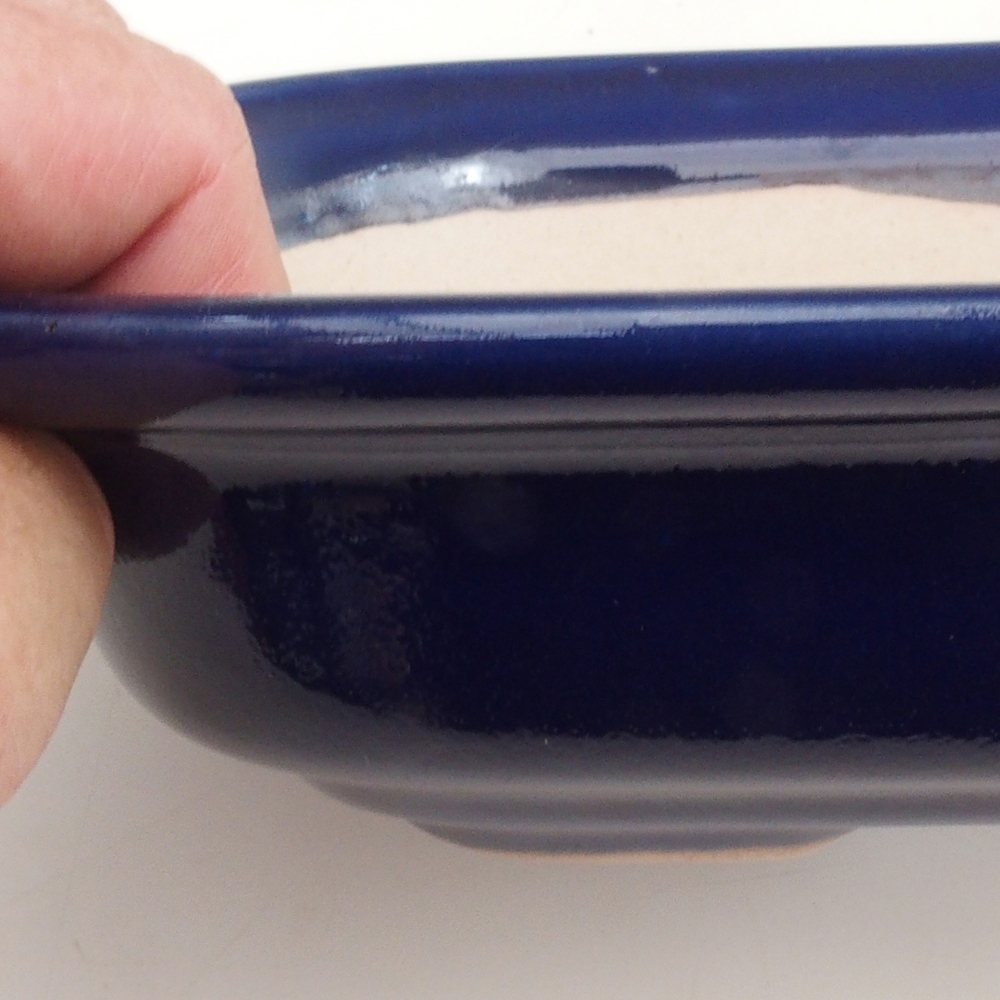 Coupe Bonsaï H25 - 23 x 17 x 5,5 cm - bleu