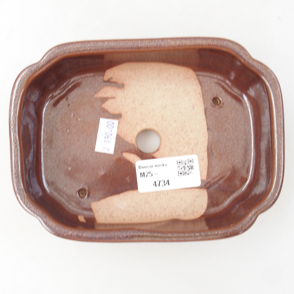 Bol à bonsaï en céramique 15 x 11,5 x 4,5 cm, brun