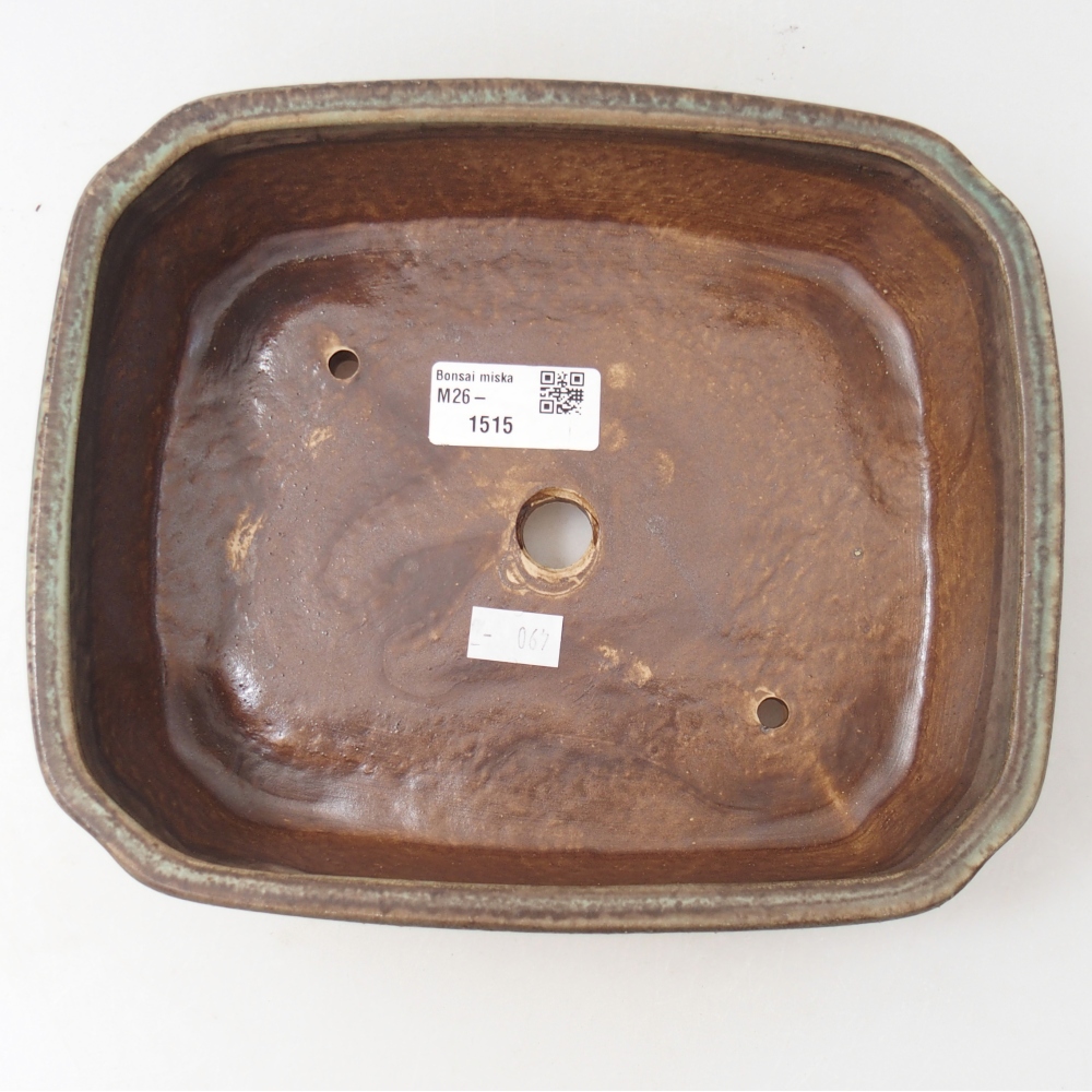 Bol à bonsaï en céramique 21,5 x 18 x 6 cm, couleur arrosée