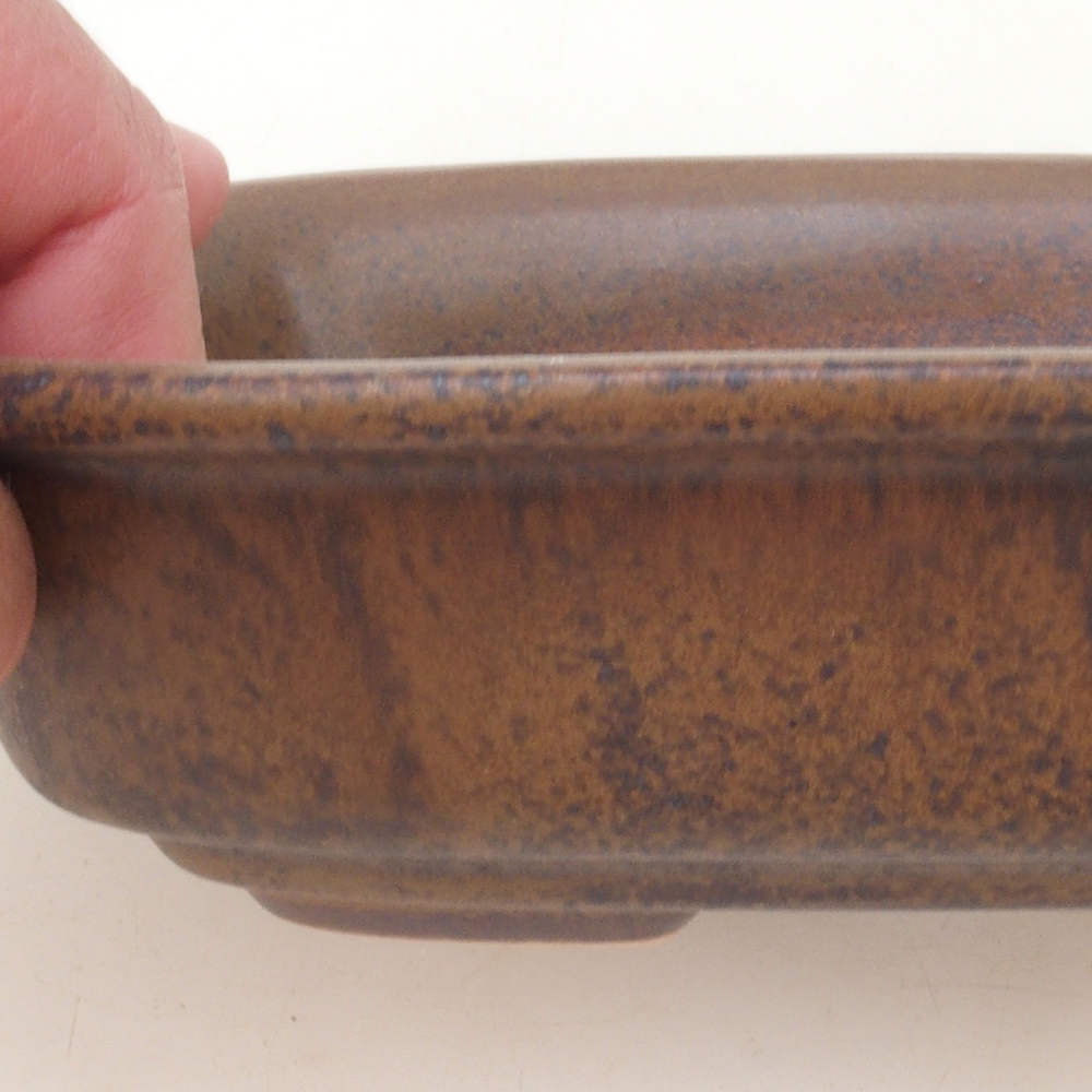 Bol à bonsaï H02 - 19 x 13 x 5 cm - brun