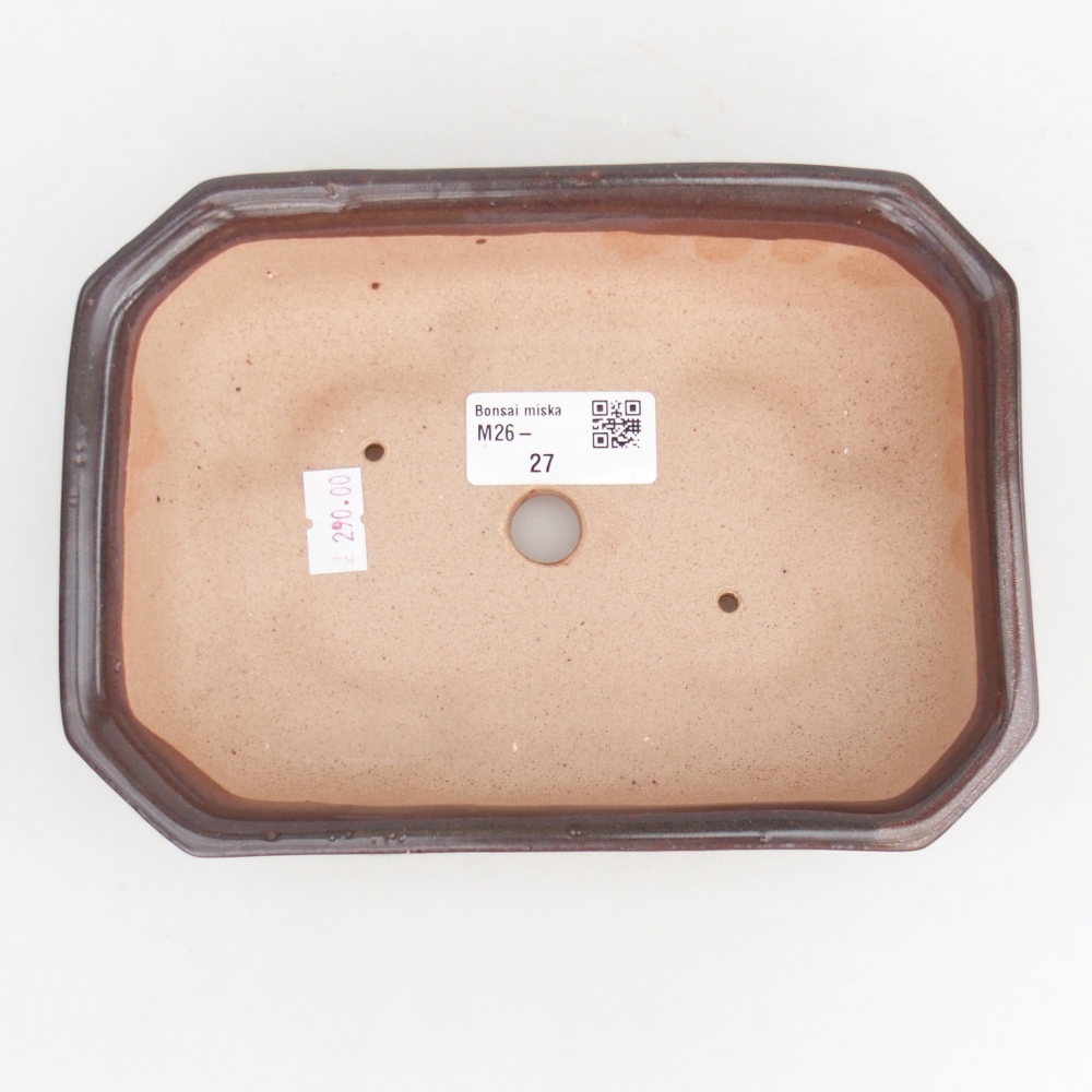 Bol à bonsaï en céramique 18,5 x 13,5 x 4,5 cm, brun